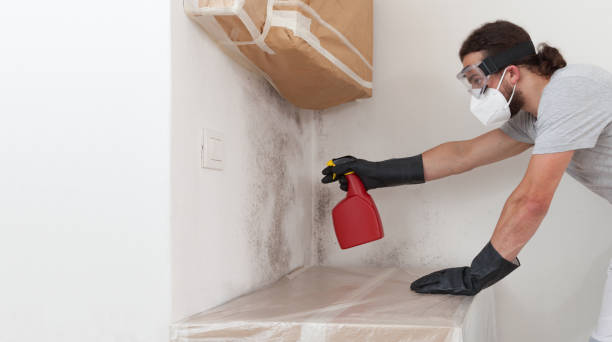 Professional Crawl Space Mold Removal technician working in Lebanon, OR
